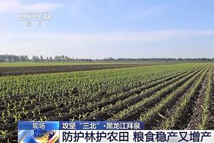 半岛电子官方网站下载手机版安装截图3